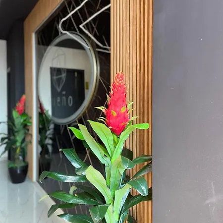Sueno & Apartamento *
